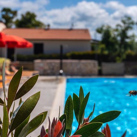 Agriturismo Il Tripesce Вада Екстер'єр фото