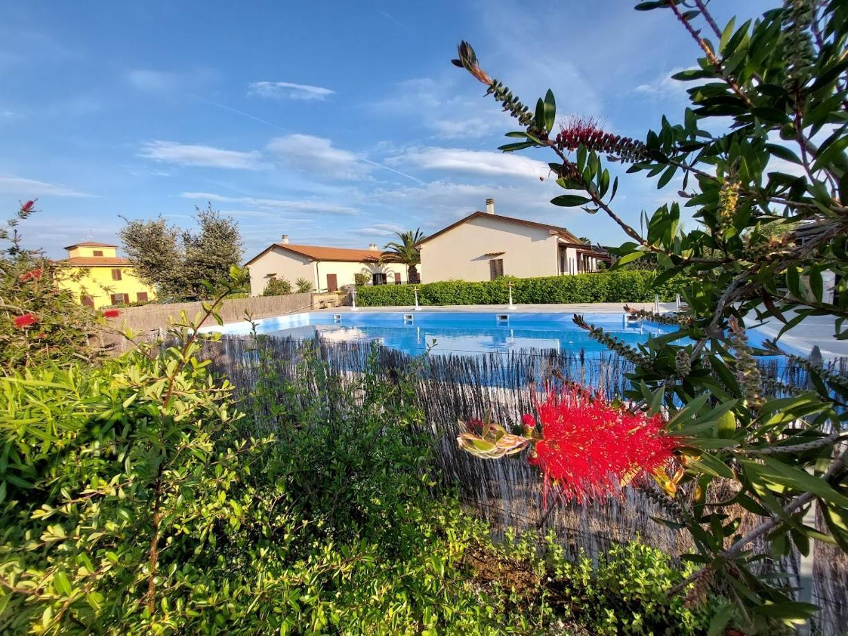 Agriturismo Il Tripesce Вада Екстер'єр фото