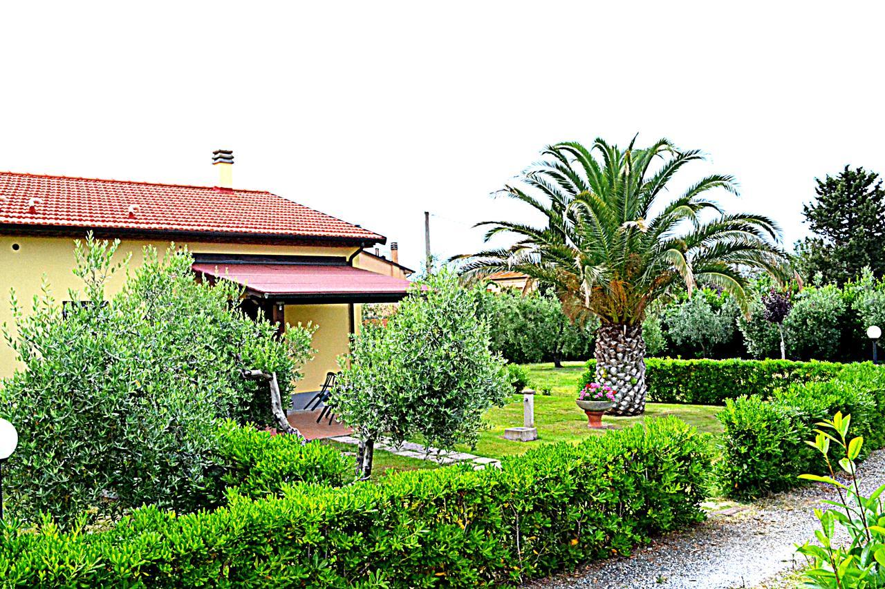 Agriturismo Il Tripesce Вада Екстер'єр фото